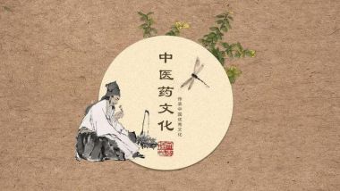 《百年丰碑》了不起的中医—刘经仁