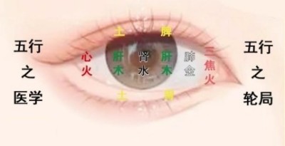 翻开眼睛探疾病，就知道五脏之病，中医的“CT”创始人孙青海