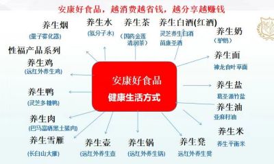 特别报道 广东碧桂科技有限公司董事长  ---甘甲鹏